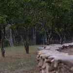 Tapada De Sao Domingos * Гондомар
