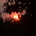 Tapada De Sao Domingos Гондомар