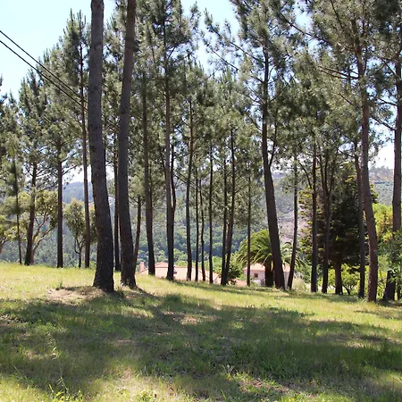 Tapada De Sao Domingos Vila Gondomar (Porto)