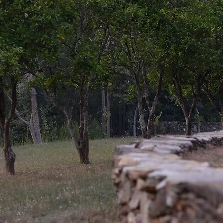 Tapada De Sao Domingos * Gondomar (Porto)