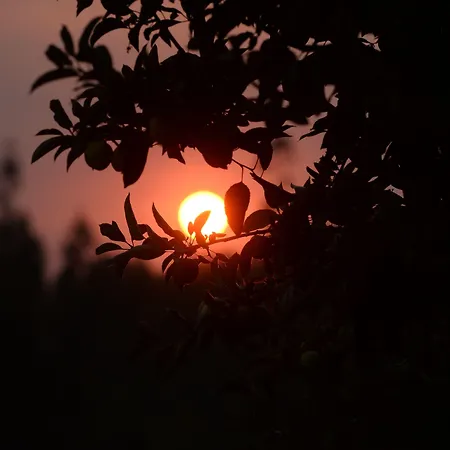 Tapada De Sao Domingos Gondomar (Porto)