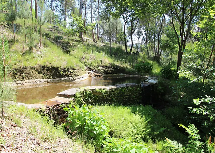 Tapada De Sao Domingos Gondomar (Porto)