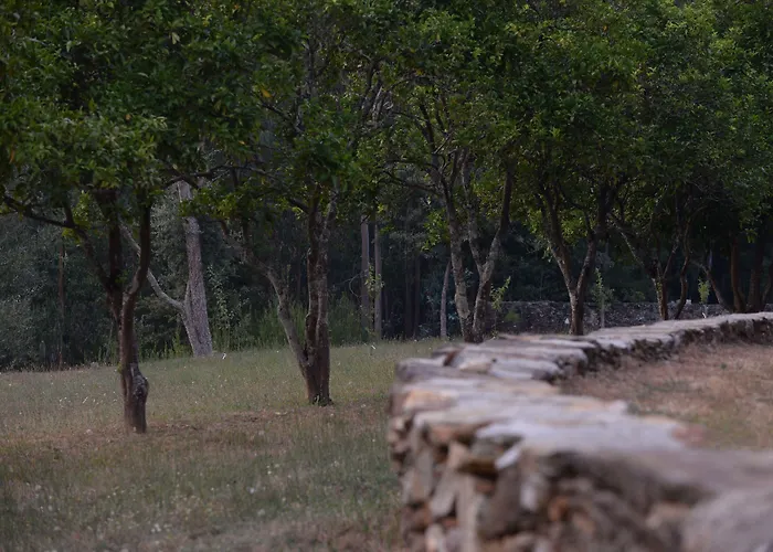 Tapada De Sao Domingos * Gondomar (Porto)